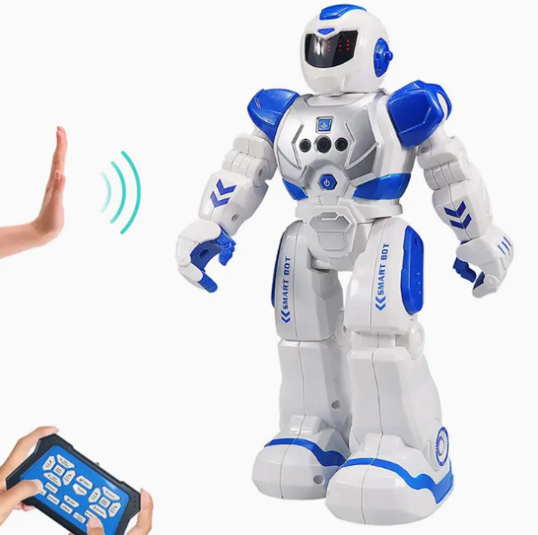 Remote Control Robot